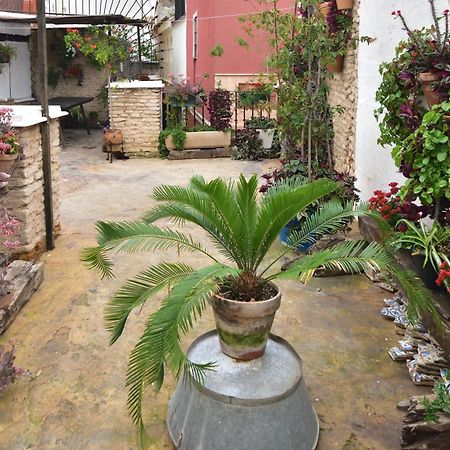 Casa Tenorio Barrio De Santa Cruz เซบีญา ภายนอก รูปภาพ