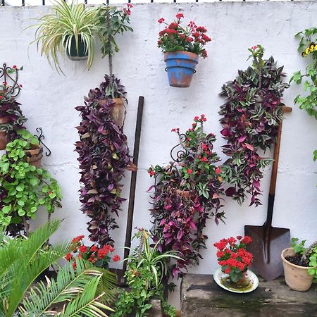 Casa Tenorio Barrio De Santa Cruz เซบีญา ภายนอก รูปภาพ