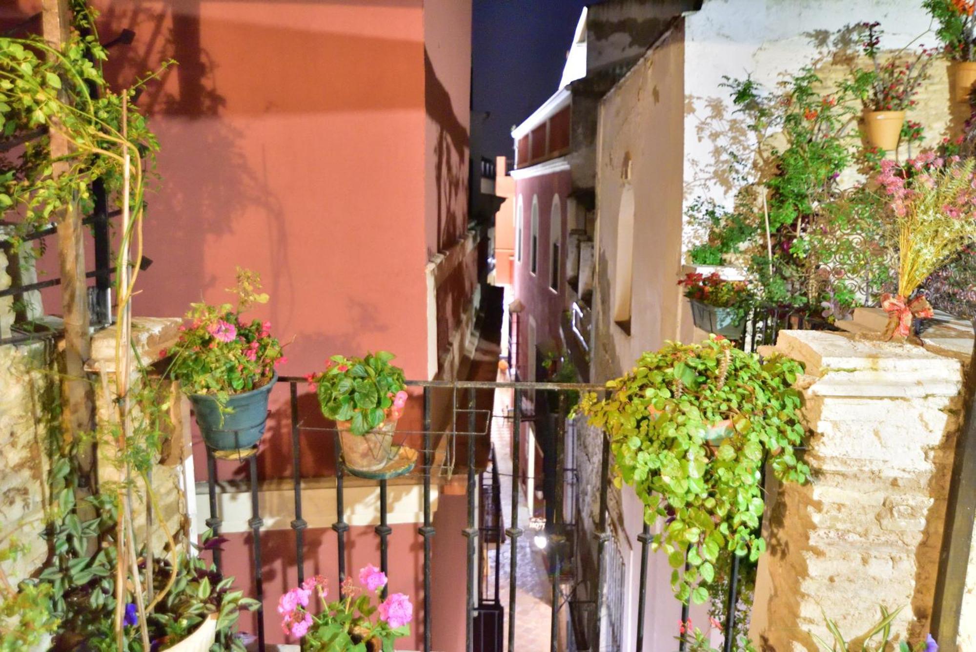 Casa Tenorio Barrio De Santa Cruz เซบีญา ภายนอก รูปภาพ