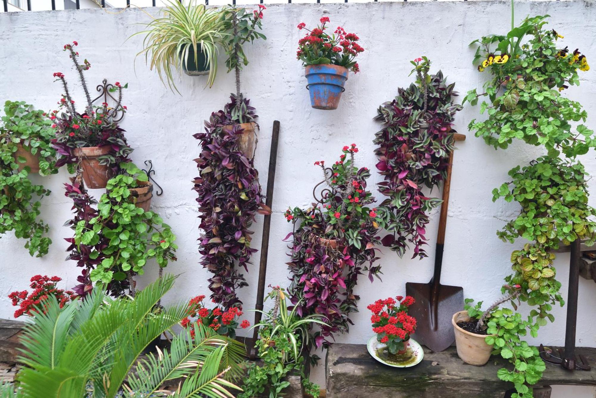 Casa Tenorio Barrio De Santa Cruz เซบีญา ภายนอก รูปภาพ