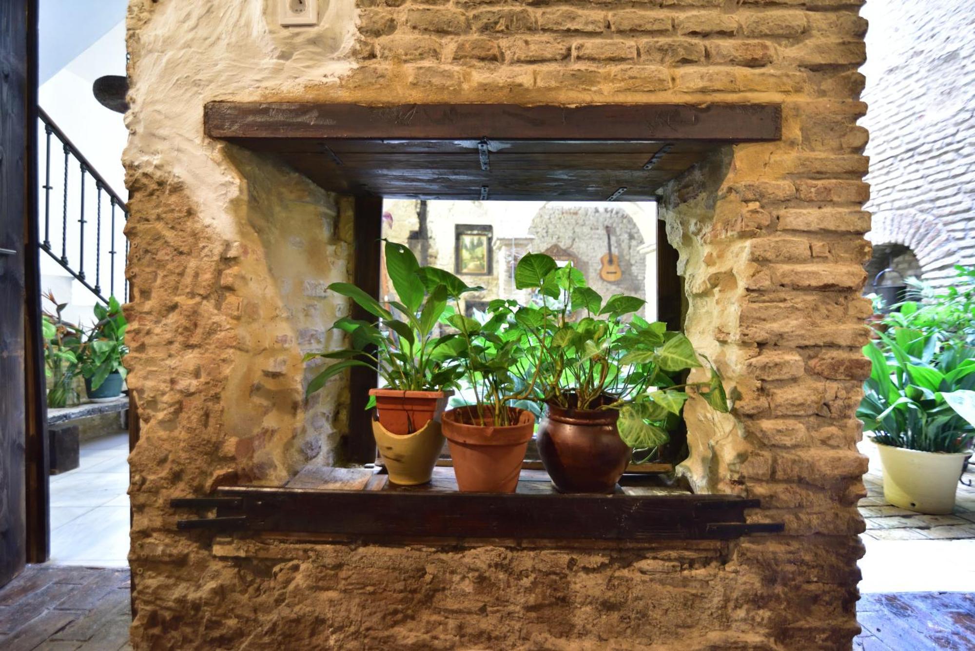 Casa Tenorio Barrio De Santa Cruz เซบีญา ภายนอก รูปภาพ
